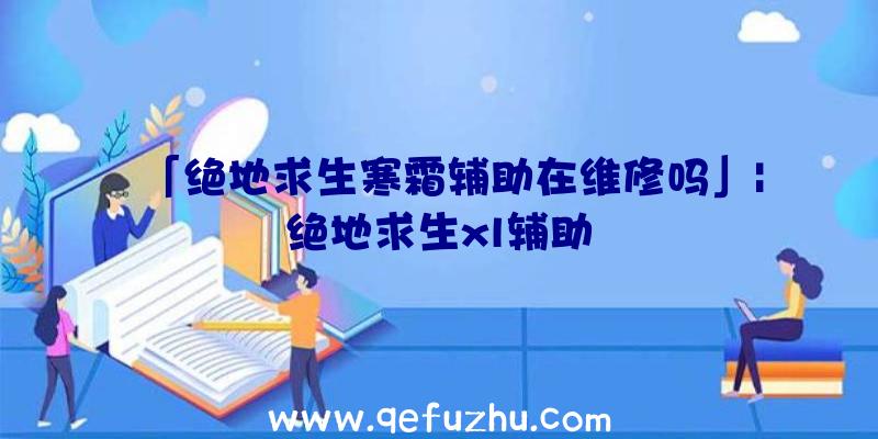 「绝地求生寒霜辅助在维修吗」|绝地求生xl辅助